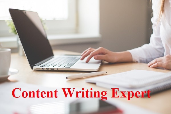 content writing expert